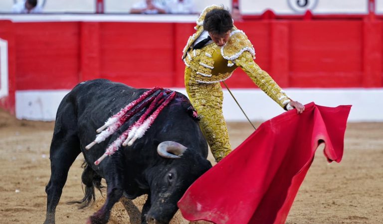 Roca Rey veta a Morante para que sustituya esta tarde a Cayetano en la feria de Santander | Cultura Roca Rey veta a Morante para que sustituya esta tarde a Cayetano en la feria de Santander | Cultura