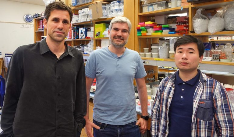 La IA descubre antibióticos en arqueas, los microorganismos que explican el origen de la vida compleja | Ciencia La IA descubre antibióticos en arqueas, los microorganismos que explican el origen de la vida compleja | Ciencia