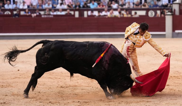 Toros: El torero mexicano Joselito Adame anuncia su retirada de los ruedos | Cultura Toros: El torero mexicano Joselito Adame anuncia su retirada de los ruedos | Cultura